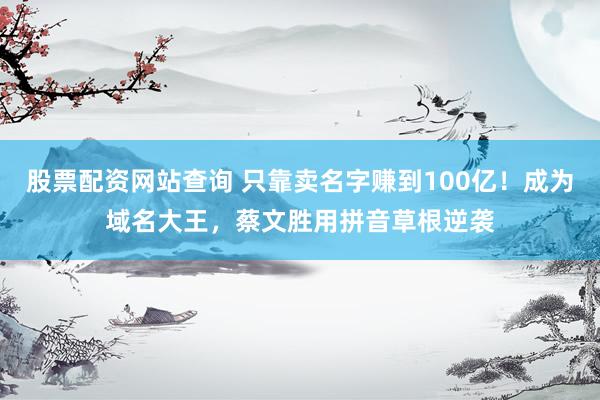 股票配资网站查询 只靠卖名字赚到100亿！成为域名大王，蔡文胜用拼音草根逆袭