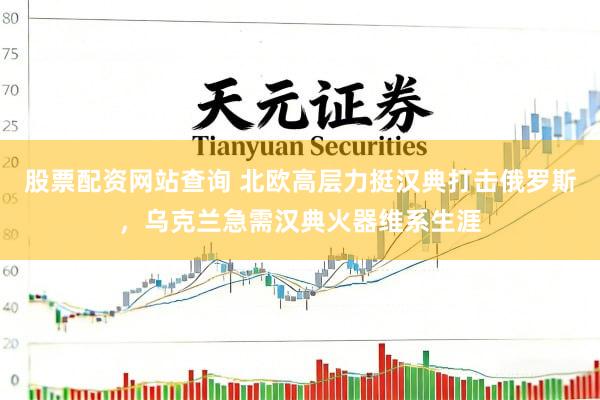 股票配资网站查询 北欧高层力挺汉典打击俄罗斯，乌克兰急需汉典火器维系生涯