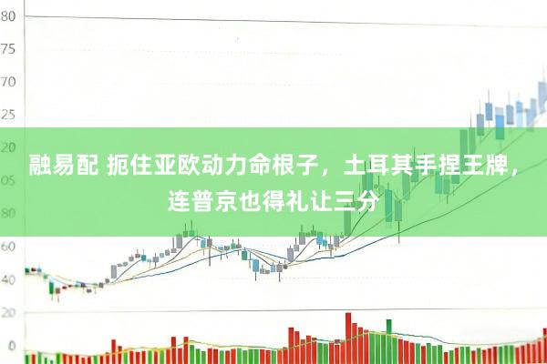 融易配 扼住亚欧动力命根子，土耳其手捏王牌，连普京也得礼让三分