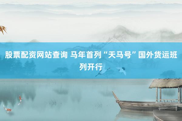 股票配资网站查询 马年首列“天马号”国外货运班列开行