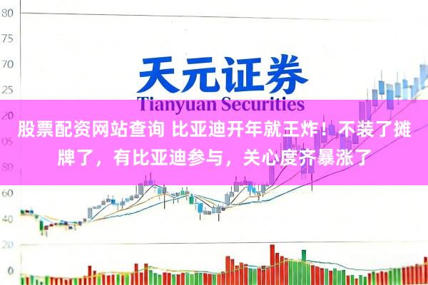 股票配资网站查询 比亚迪开年就王炸！不装了摊牌了，有比亚迪参与，关心度齐暴涨了