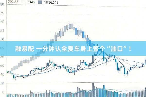 融易配 一分钟认全爱车身上整个“油口”！