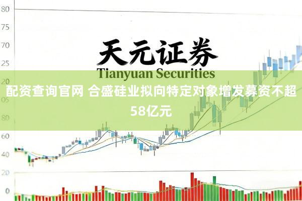 配资查询官网 合盛硅业拟向特定对象增发募资不超58亿元