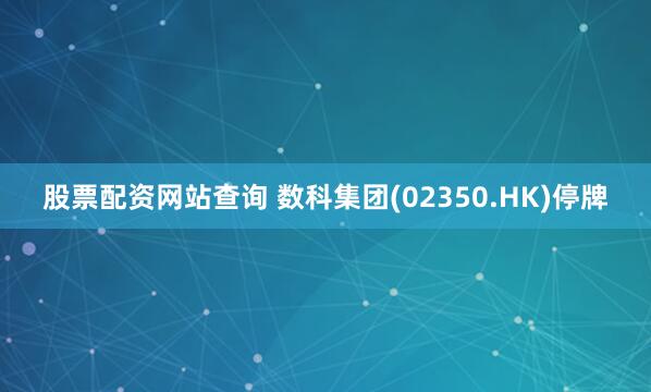 股票配资网站查询 数科集团(02350.HK)停牌