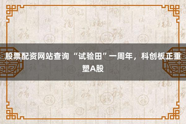 股票配资网站查询 “试验田”一周年，科创板正重塑A股