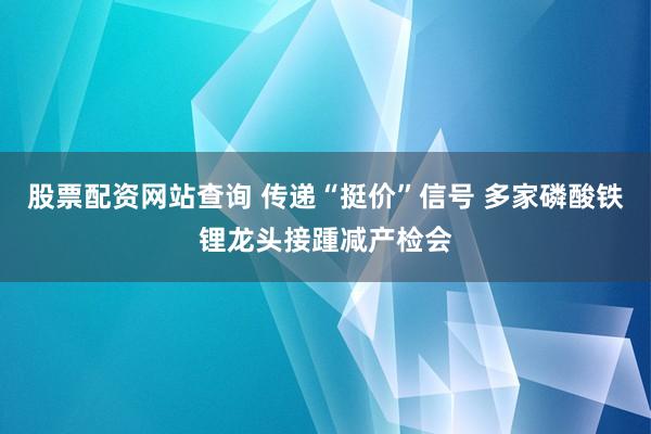股票配资网站查询 传递“挺价”信号 多家磷酸铁锂龙头接踵减产检会