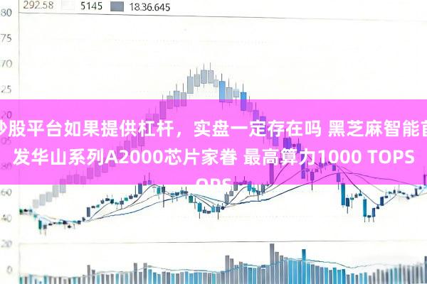 炒股平台如果提供杠杆，实盘一定存在吗 黑芝麻智能首发华山系列A2000芯片家眷 最高算力1000 TOPS
